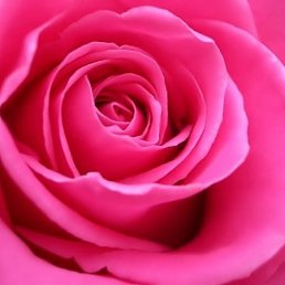 Маруся, Саратов