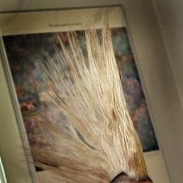 Рома, Москва