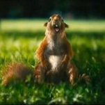 Павел, Санкт-Петербург