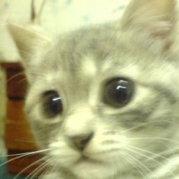 Сергей, Москва