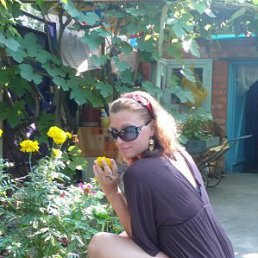 Koshka, Санкт-Петербург