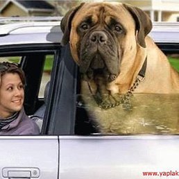 Никита, Санкт-Петербург