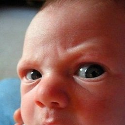 Дмитрий, Санкт-Петербург