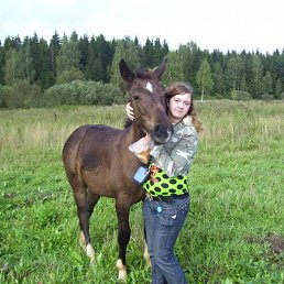 Azoria, Санкт-Петербург