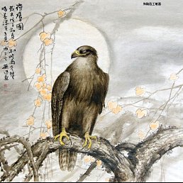 Дима, Коряжма