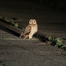 Ижевск Знакомства Девушки Фото Ижевск Знакомства Девушки Фото