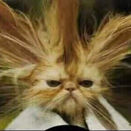 Ольга, Новосибирск