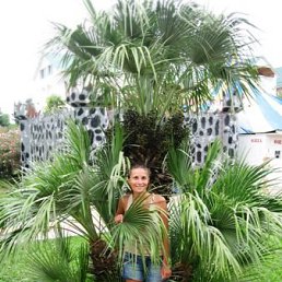 Анастясия, Санкт-Петербург