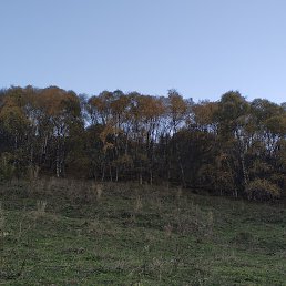 Мария, Челябинск