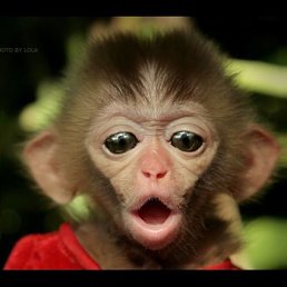 Сергей, Санкт-Петербург