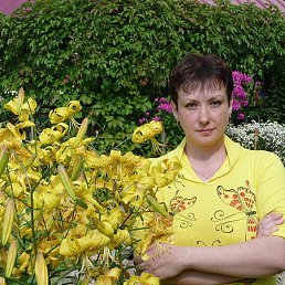 Жужелица, Лангепас