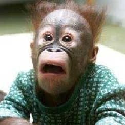 Prizrak, Санкт-Петербург