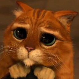 Никита, Киев