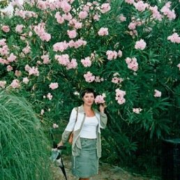 Екатерина, Санкт-Петербург