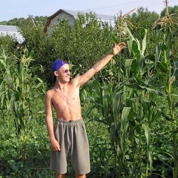 Вадим, Москва