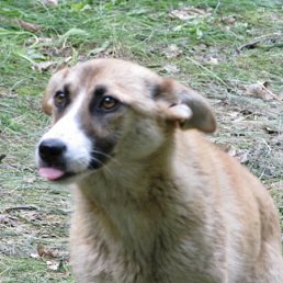 Илья, Москва