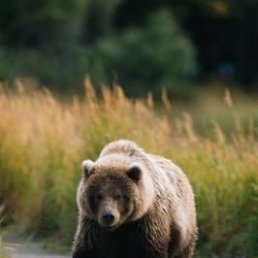 Сергей, Киев