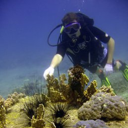 Игорь, Москва