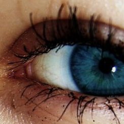 Лена, Москва