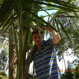 Mix@el, Москва