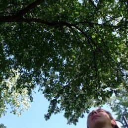 Aлександр, Киев