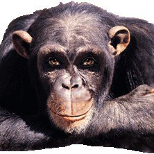 Игорёк, Москва