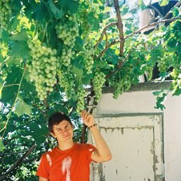 Серёга, Санкт-Петербург