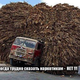 Лиля, Москва