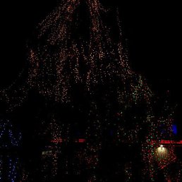 Lavanda, Москва