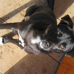 Игорь, Москва