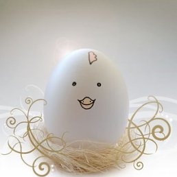 Зёма, Лыткарино