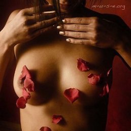 Максим, Киев