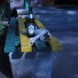 Wicked, Киев